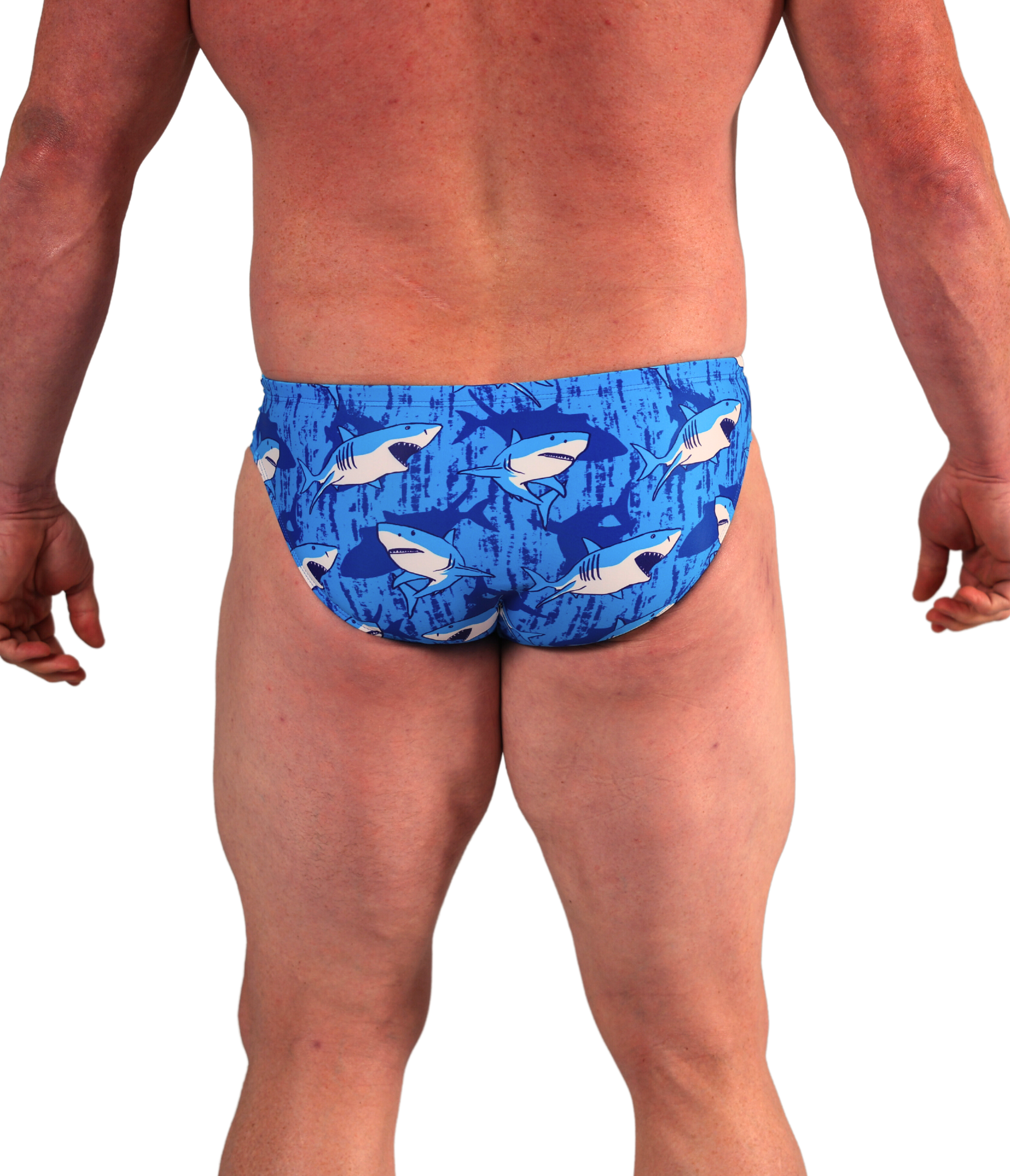 Men's Budgy Smugglers Shark